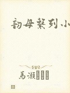 韵母系列小说
