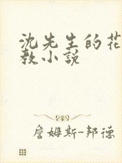 沈先生的花式调教小说