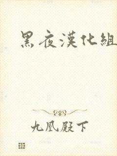 黑夜汉化组