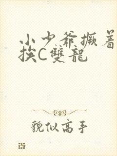 小少爷撅着屁股挨C双龙封面