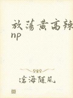 放荡黄高辣h文np