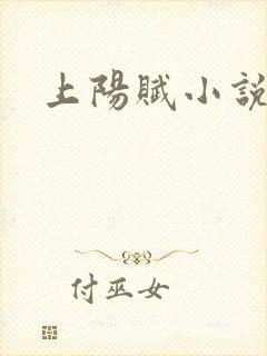 上阳赋小说封面