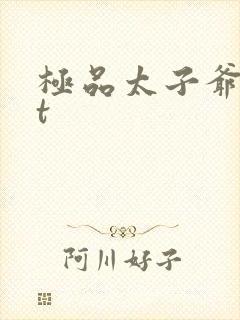 极品太子爷txt封面