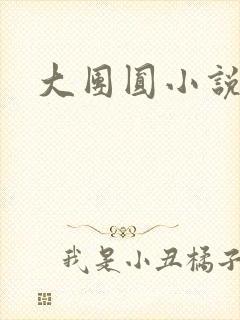 大团圆小说