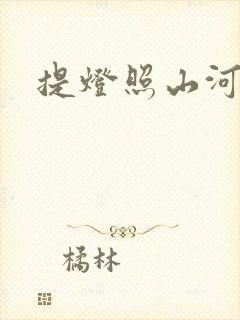 提灯照山河