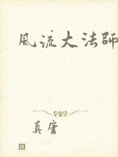 风流大法师封面