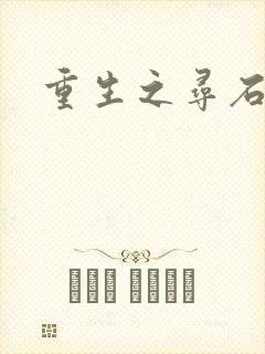 重生之寻石者