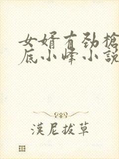 女婿有劲枪枪到底小峰小说