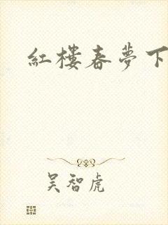 红楼春梦下载