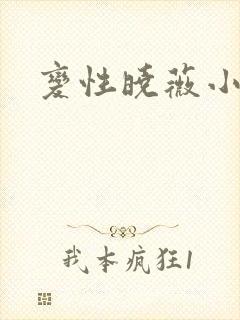 变性晓薇小说封面