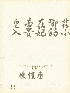 皇帝在御花园进入贵妃的小说封面