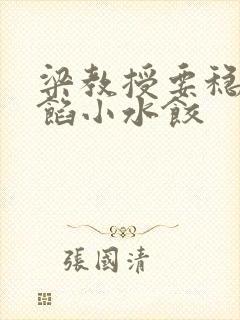 梁教授要稳住肉馅小水饺封面