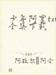 少年阿宾txt全集下载