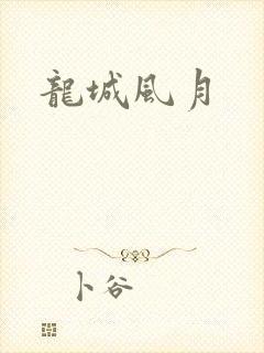 龙城风月封面