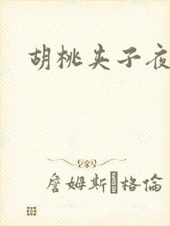 胡桃夹子夜未眠封面