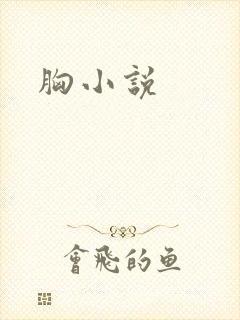 胸小说