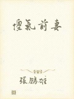 傻气前妻封面
