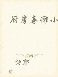 厨房春潮小说封面