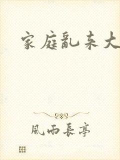 家庭乱来大杂烩封面