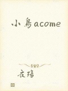 小鸟acome封面