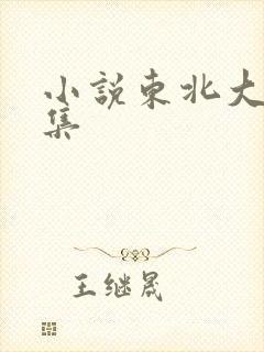 小说东北大炕全集
