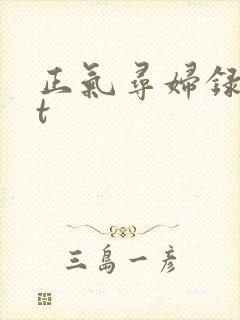 正气寻妇录txt