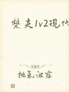 双夫1v2现代