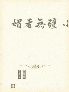 媚者无疆 小说封面