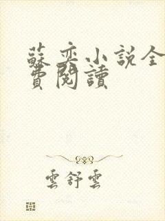 苏奕小说全文免费阅读