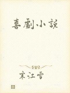 喜剧小说