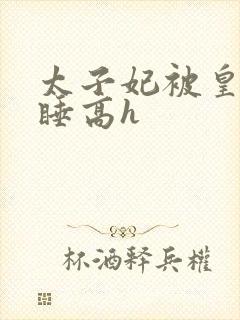 太子妃被皇上强睡高h