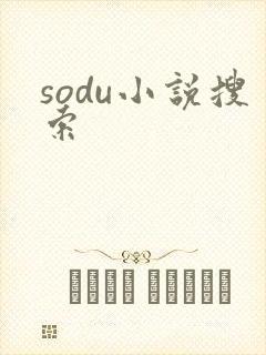 sodu小说搜索