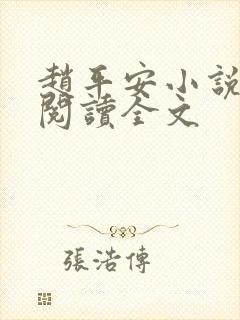 赵平安小说免费阅读全文封面