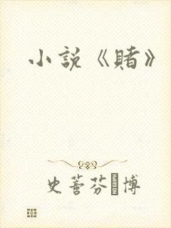 小说《赌》封面