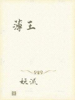 薄王封面