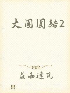 大团圆结2封面
