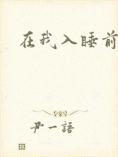 在我入睡前封面