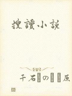 搜读小说