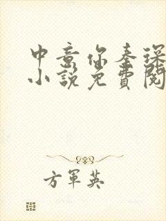 中意你秦琛苏沫小说免费阅读