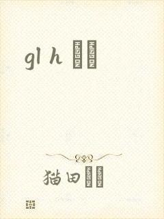 gl h С˵封面