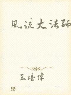 风流大法师封面