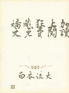 娇藏狂上加狂全文免费阅读笔趣阁封面