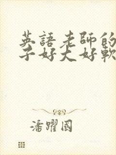 英语老师的小兔子好大好软水