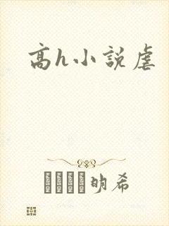 高h小说虐