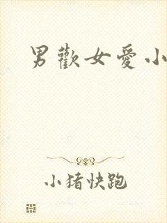 男欢女爱小说