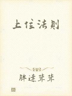 上位法则