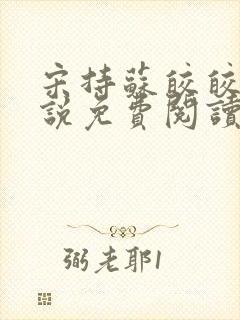 宋持苏皎皎的小说免费阅读