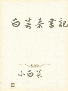 白芸秦书记封面