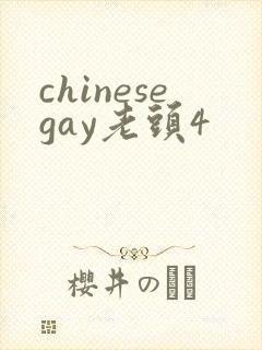 chinesegay老头4