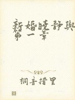 新婚晓静与翁公笫一章封面